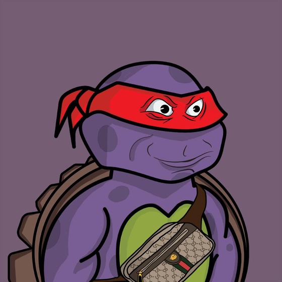 Degen Ninja Turtle #4728