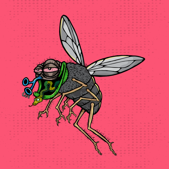 Funky Fly #7498