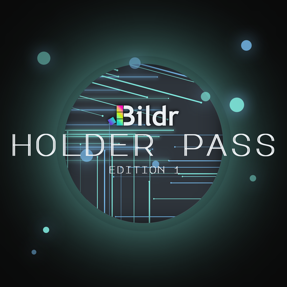 Bildr Holder Pass