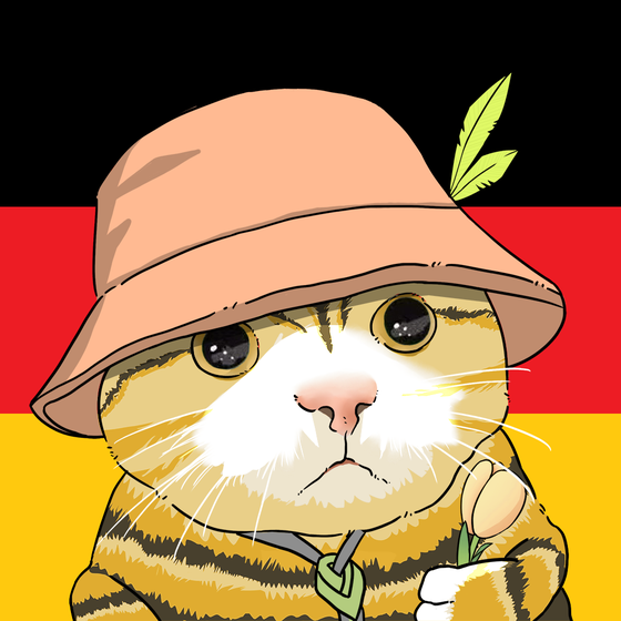 Puzzled cat #2266