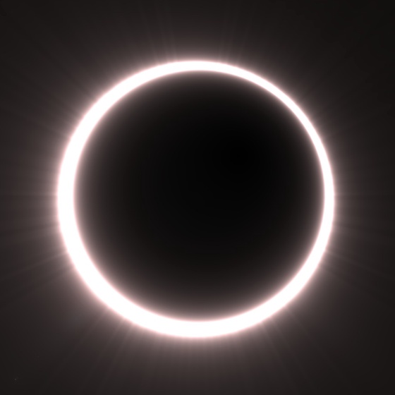 Totality #313