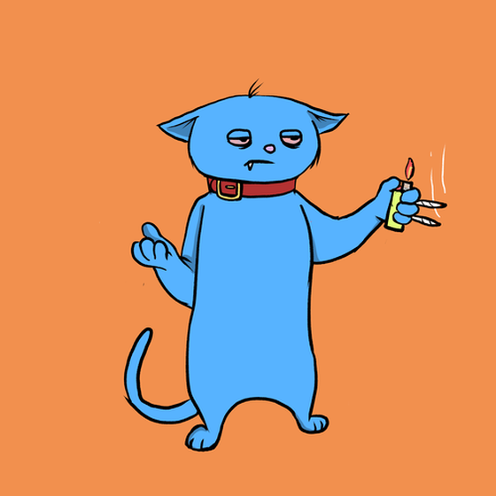 Blazed Cat #94