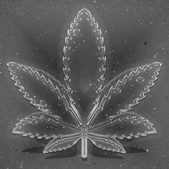 SUPREME Cannabis #9999