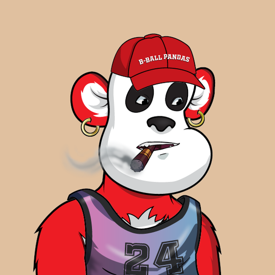 B-ball Pandas #1425