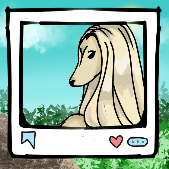 旅する犬 #109