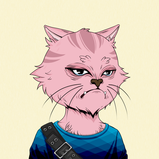 Angry Cat #4770