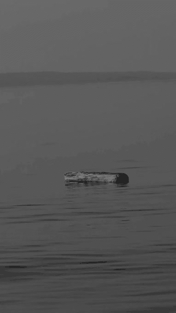 Alone Adrift