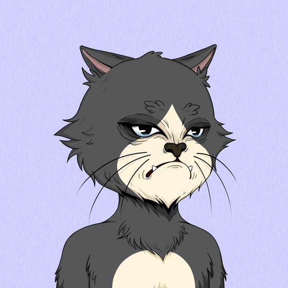 Angry Cat #2074
