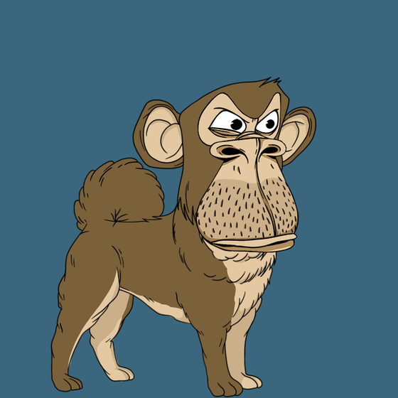 Kennel Ape #2079