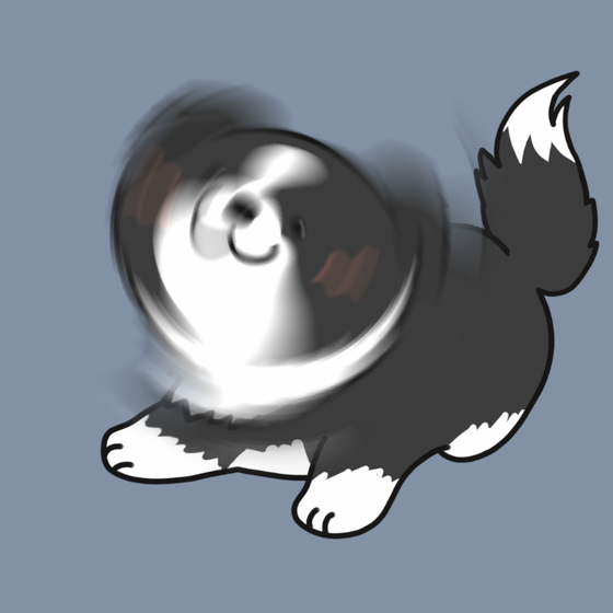 DogDrill#1045