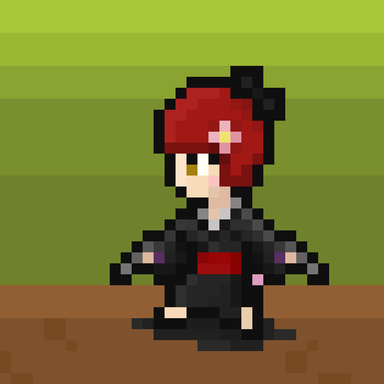 NINJA X HERO#1676