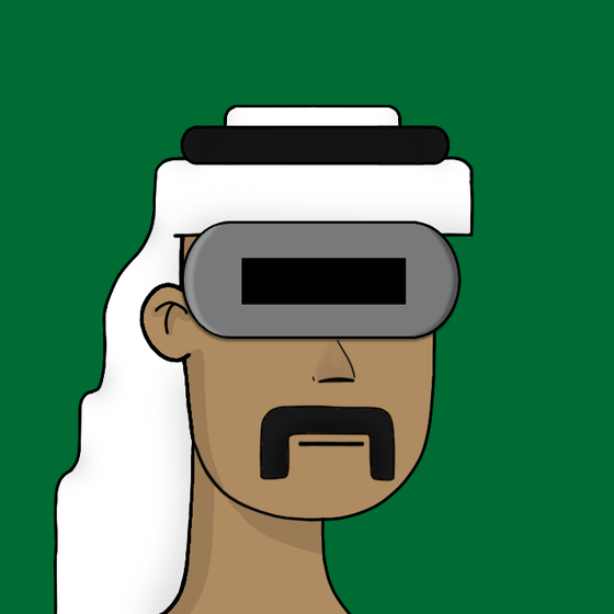 THE 2D SAUDIS #4576