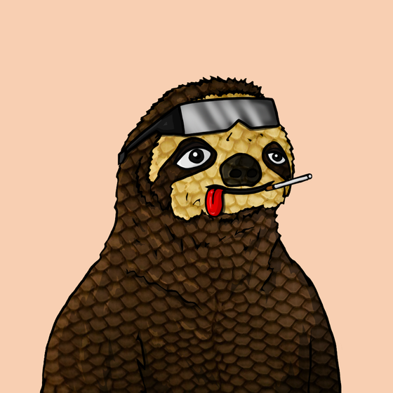 Sammy Sloth Amazon Rainforest Project #138