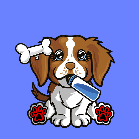 Brittany Spaniel 0194