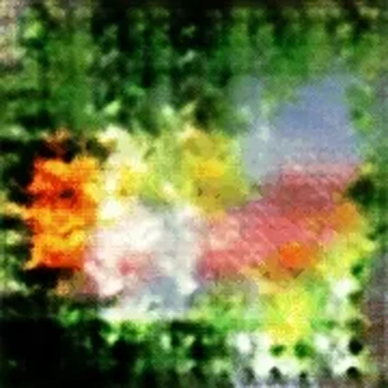 Evolution of a Flower #5