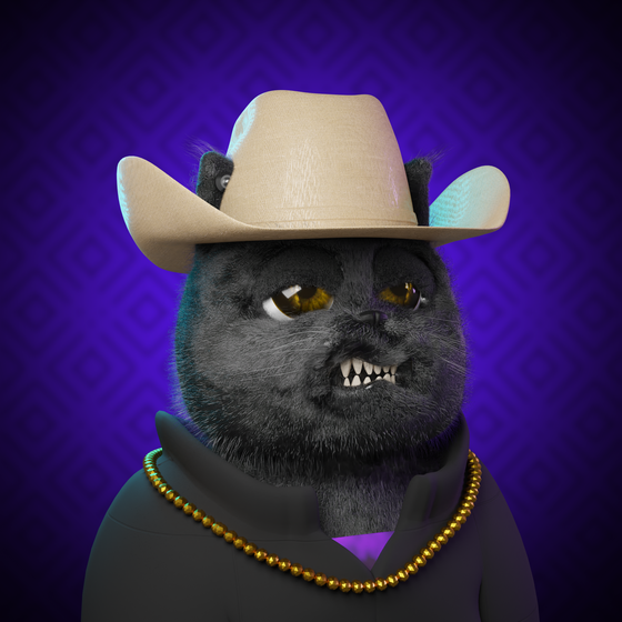 Project Cat #1404