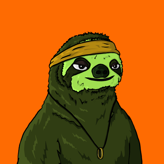 Sammy Sloth Amazon Rainforest Project #95