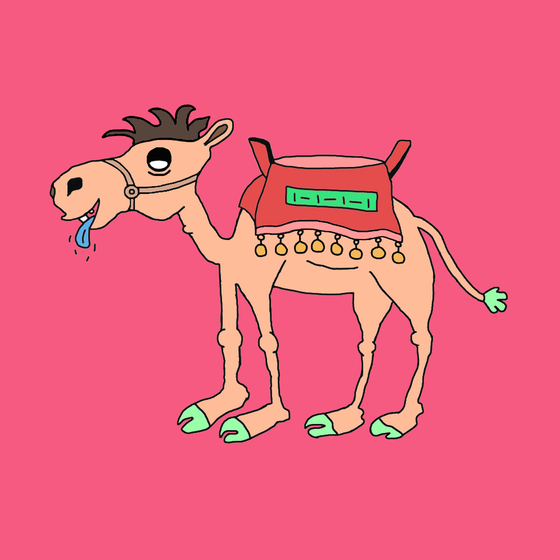 Chilled Camel #55