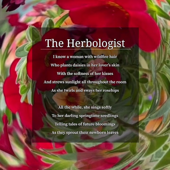 The Herbologist