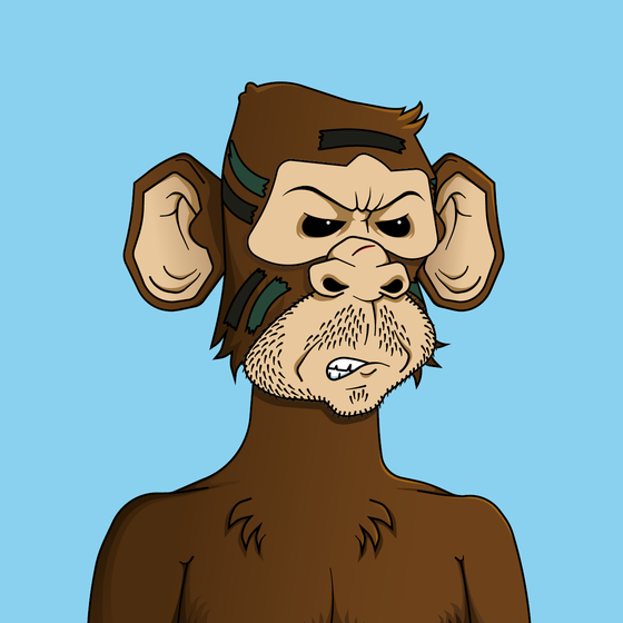 Monkey #3509