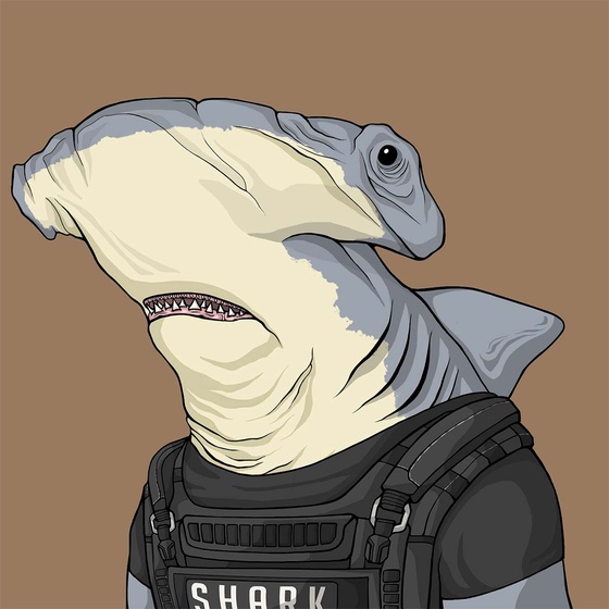 Justice Shark #3746