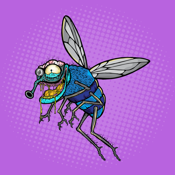 Funky Fly #6078