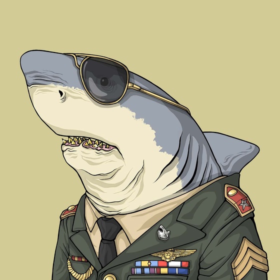 Justice Shark #2649