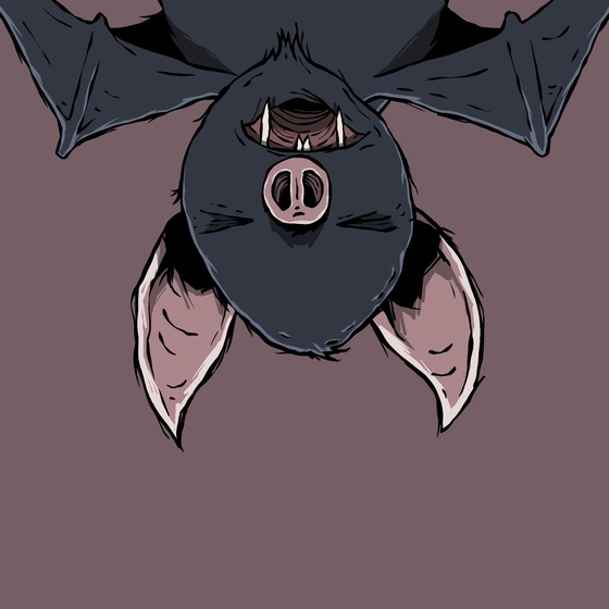 Moon Bats #4611