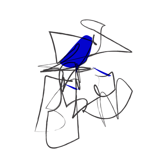 Bird 05