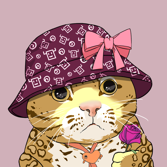 Puzzled cat #4228