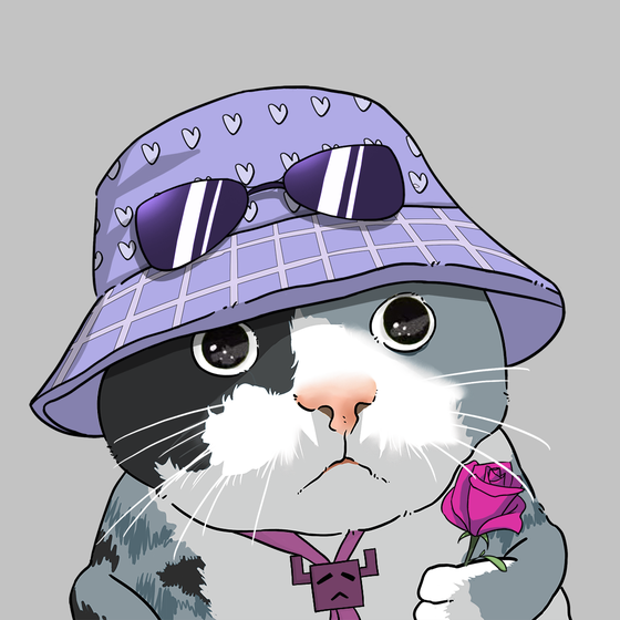 Puzzled cat #2320