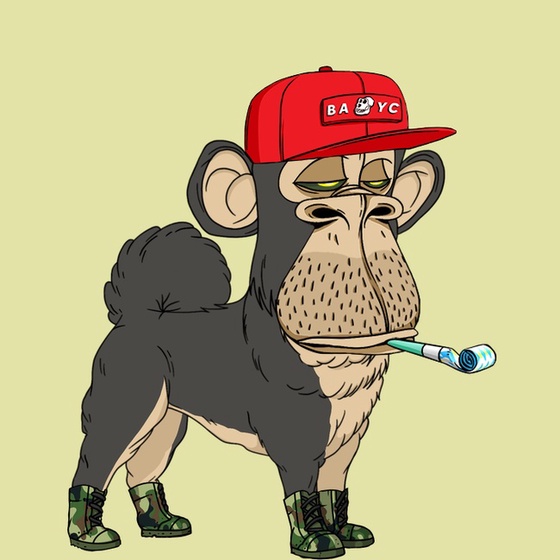 Kennel Ape #9522