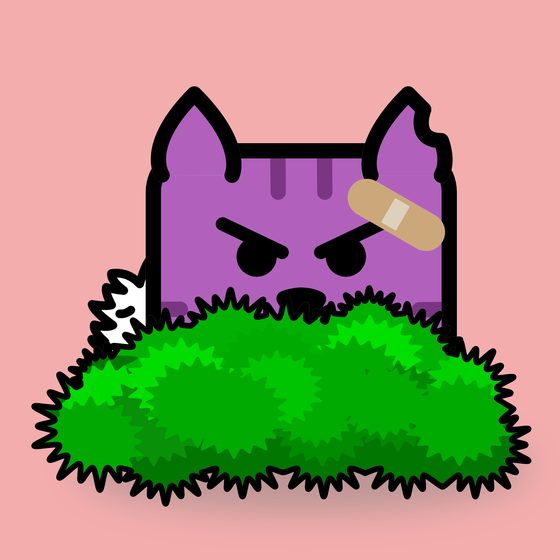 Square Cat #590