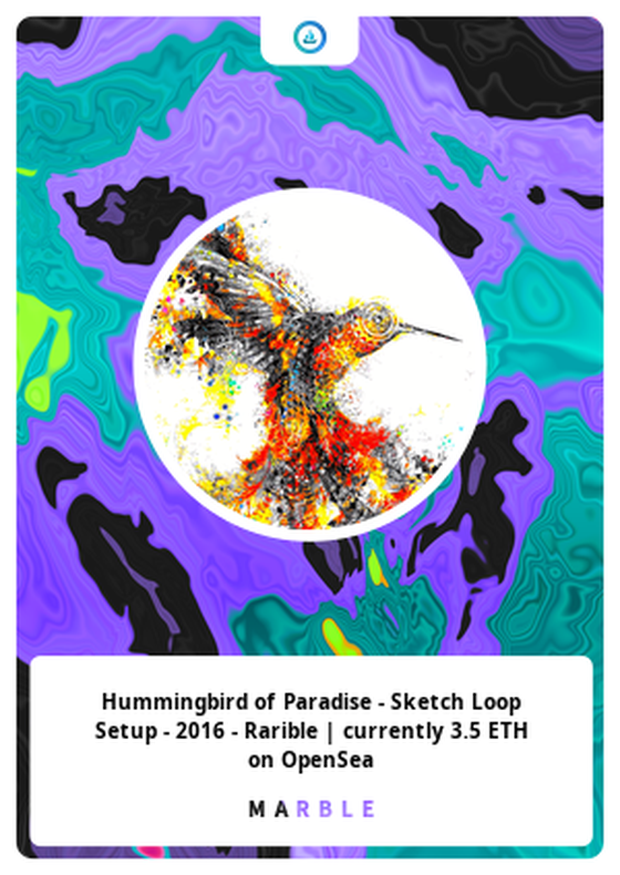 Hummingbird of Paradise - Sketch Loop Setup - 2016 - Rarible | currently 3.5 ETH on OpenSea