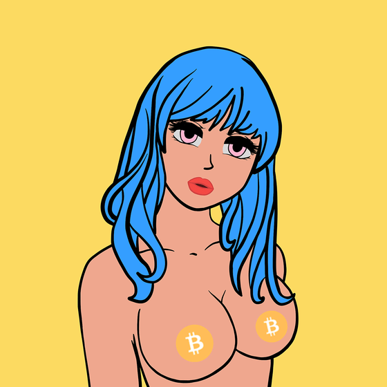 Bitcoin Chicks Pre-reveal