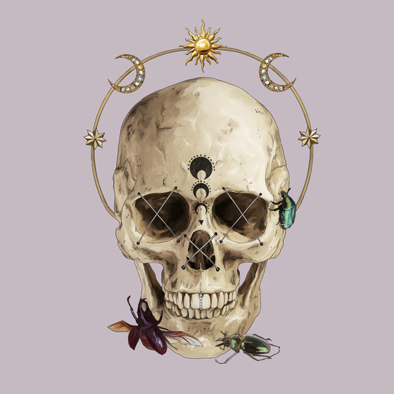 Sacred Skull #611