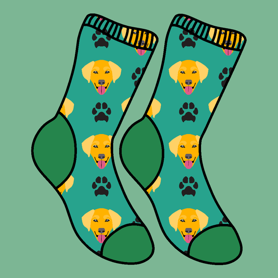 Basic Needs: SOCKS! #311