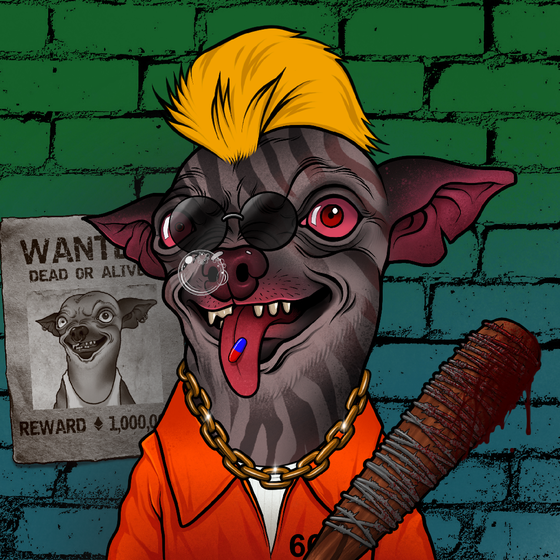 Mad Chihuahua #1214
