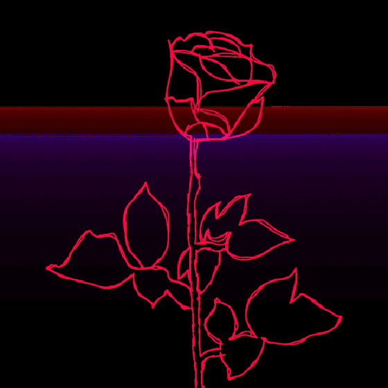 ROSE36