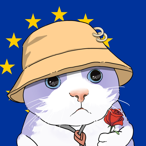 Puzzled cat #3710