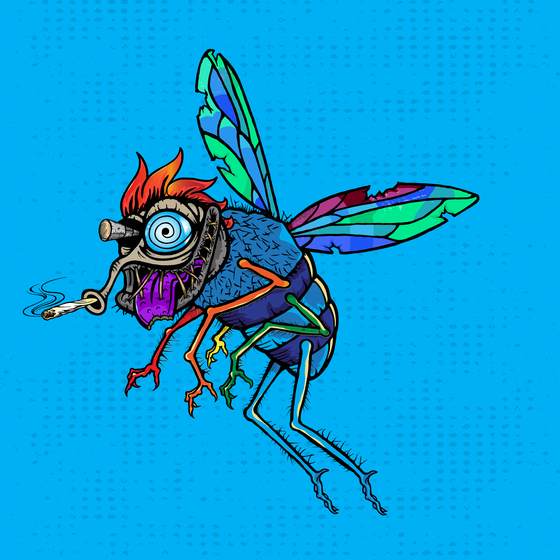 Funky Fly #2699