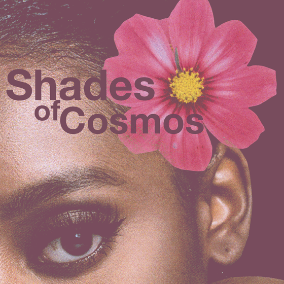 Shade of Cosmos #784c5d