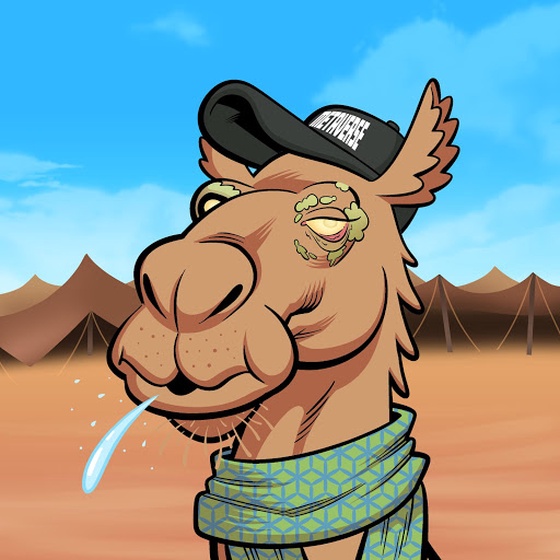 Arabian Camel #3394