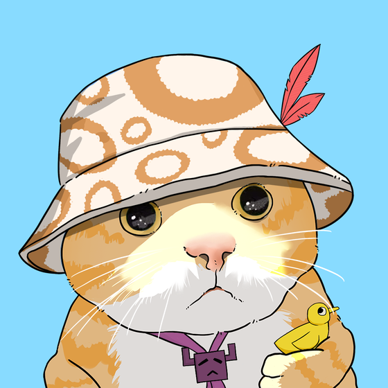 Puzzled cat #5665