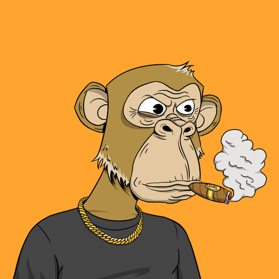 Elderly Ape #4870