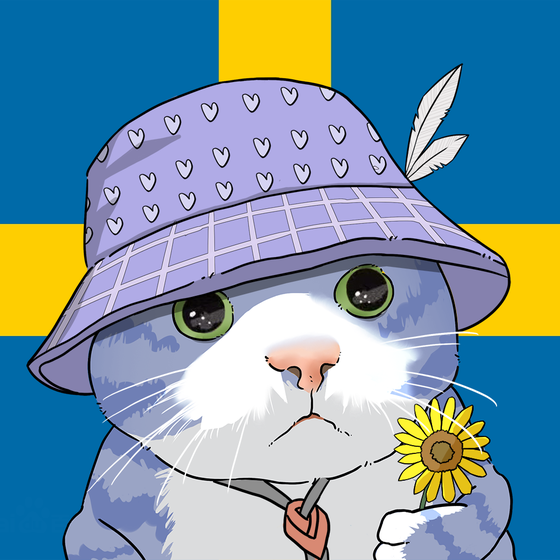 Puzzled cat #4908
