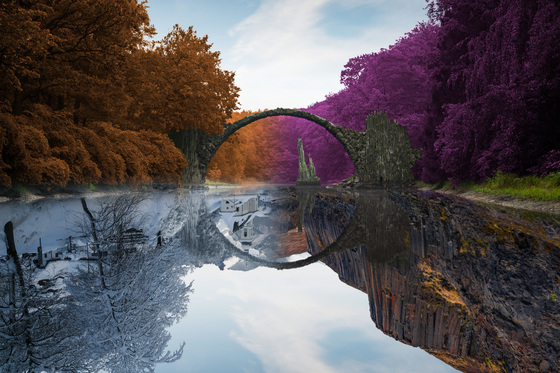 Reflection #186
