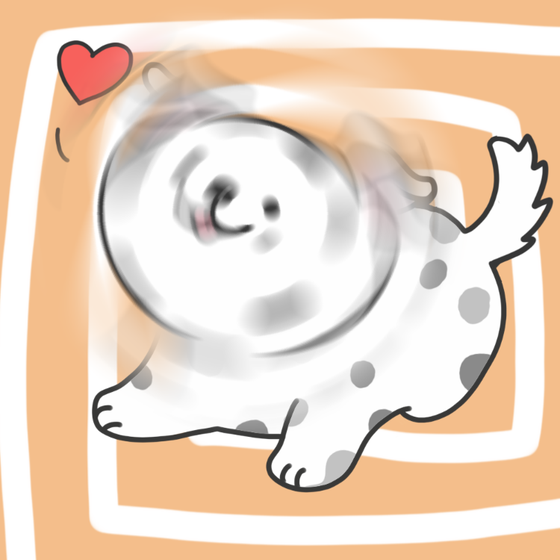 DogDrill#959