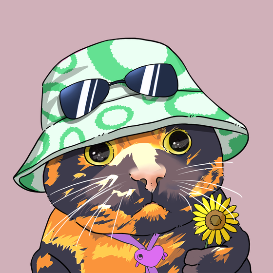 Puzzled cat #5771