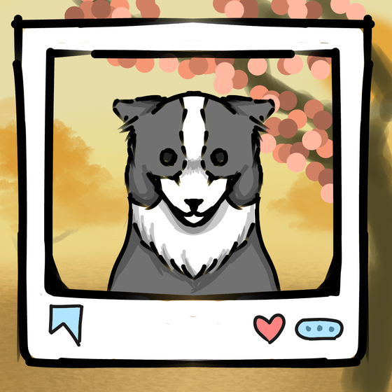 旅する犬 #1185